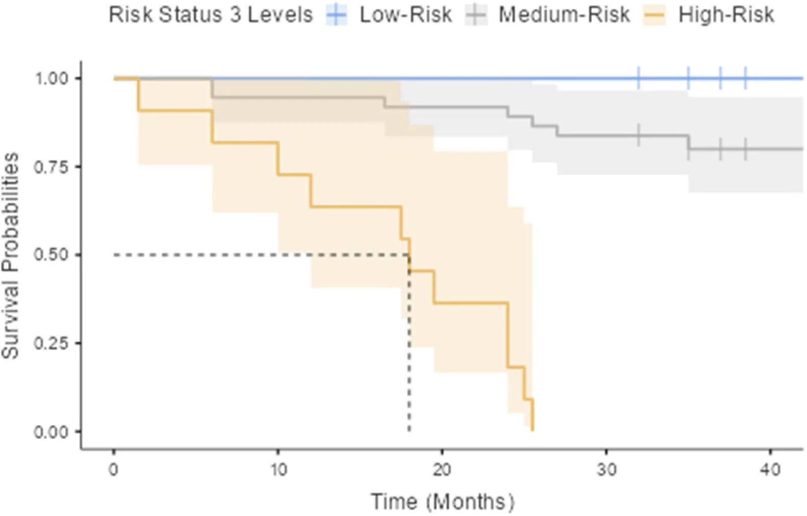 Figure 1. Survival curves for three levels of risk.
