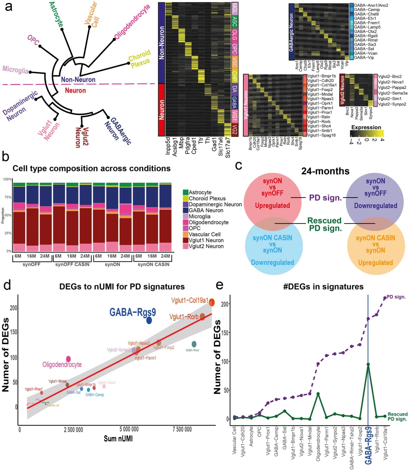 Figure 1. Single nucleus transcriptomics enables cell type specific analysis of CASIN treatment related transcriptomic alterations a,.
