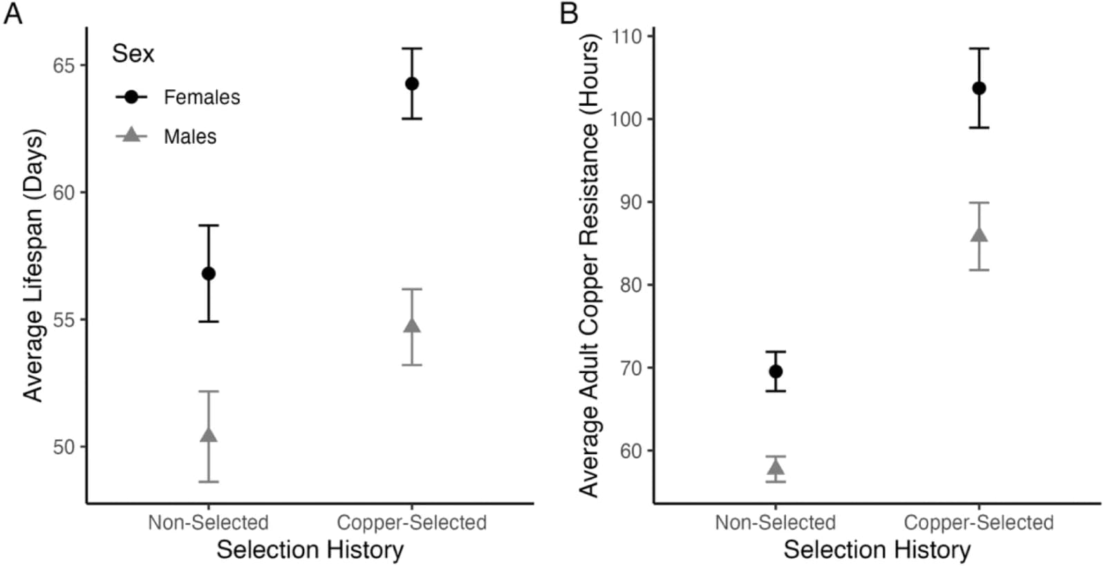 Figure 1. Copper selection increased lifespan and adult copper stress resistance.