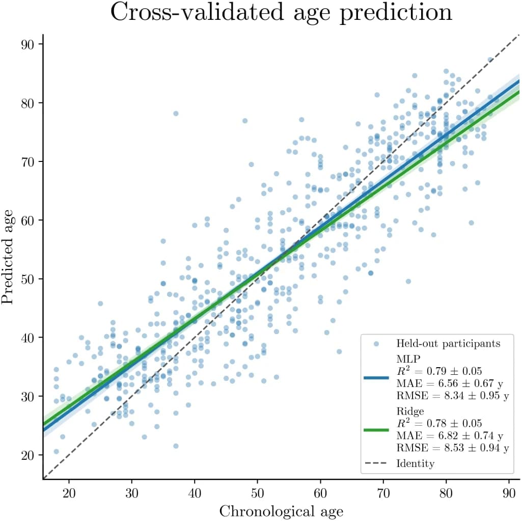 Figure 1. Chronological age versus out-of-fold predicted age in 10-fold cross-validation.