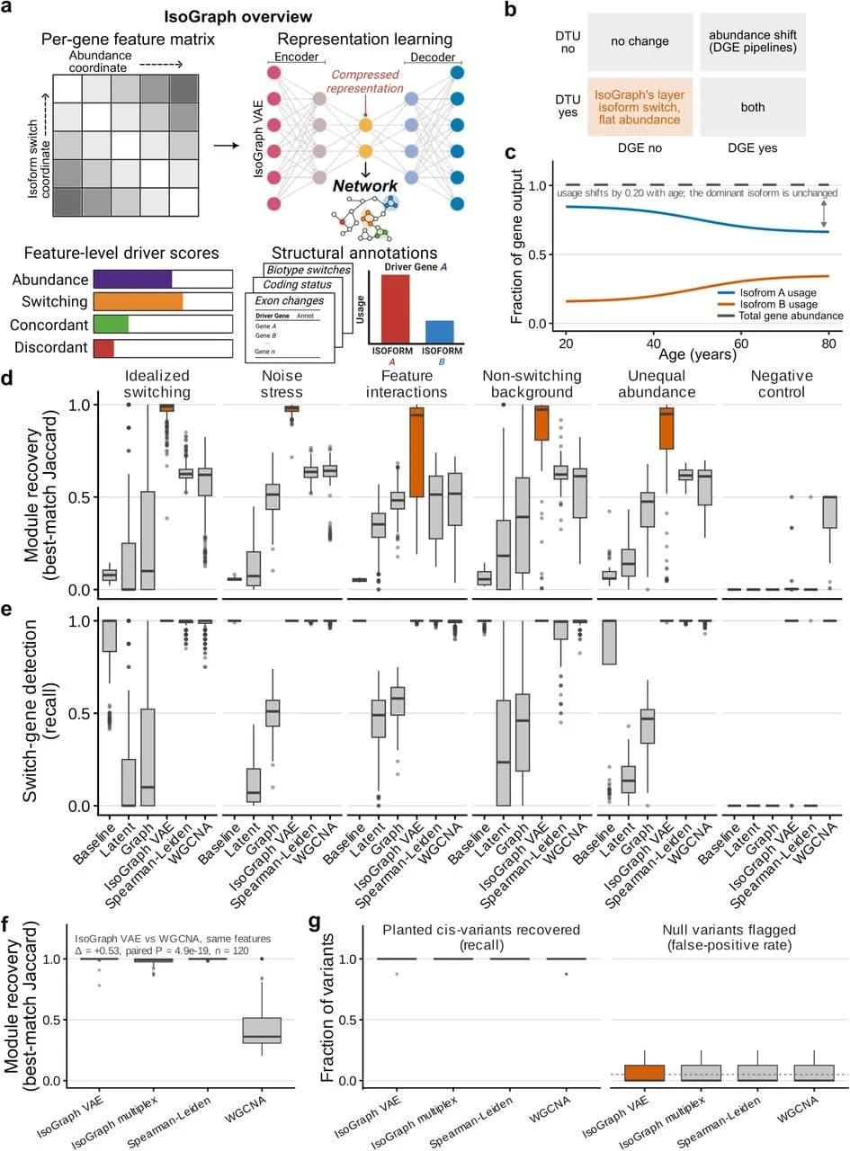 Fig. 1. IsoGraph jointly represents isoform usage and gene abundance and recovers planted switching structure in synthetic data.
