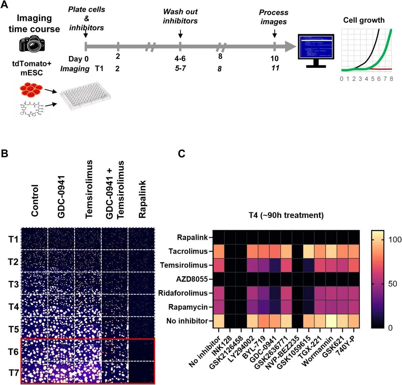 Fig. 1. A targeted small-molecule screen identifies dual PI3K/mTOR inhibition as sufficient for reversible proliferative pausing in mESCs under normoxia.