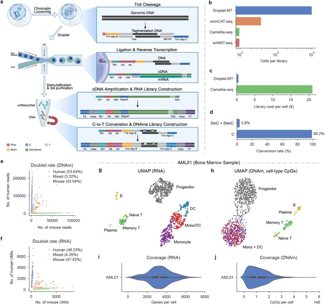 Fig. 1. Droplet-MT enables high-throughput joint single-cell transcriptome and DNA methylome profiling.