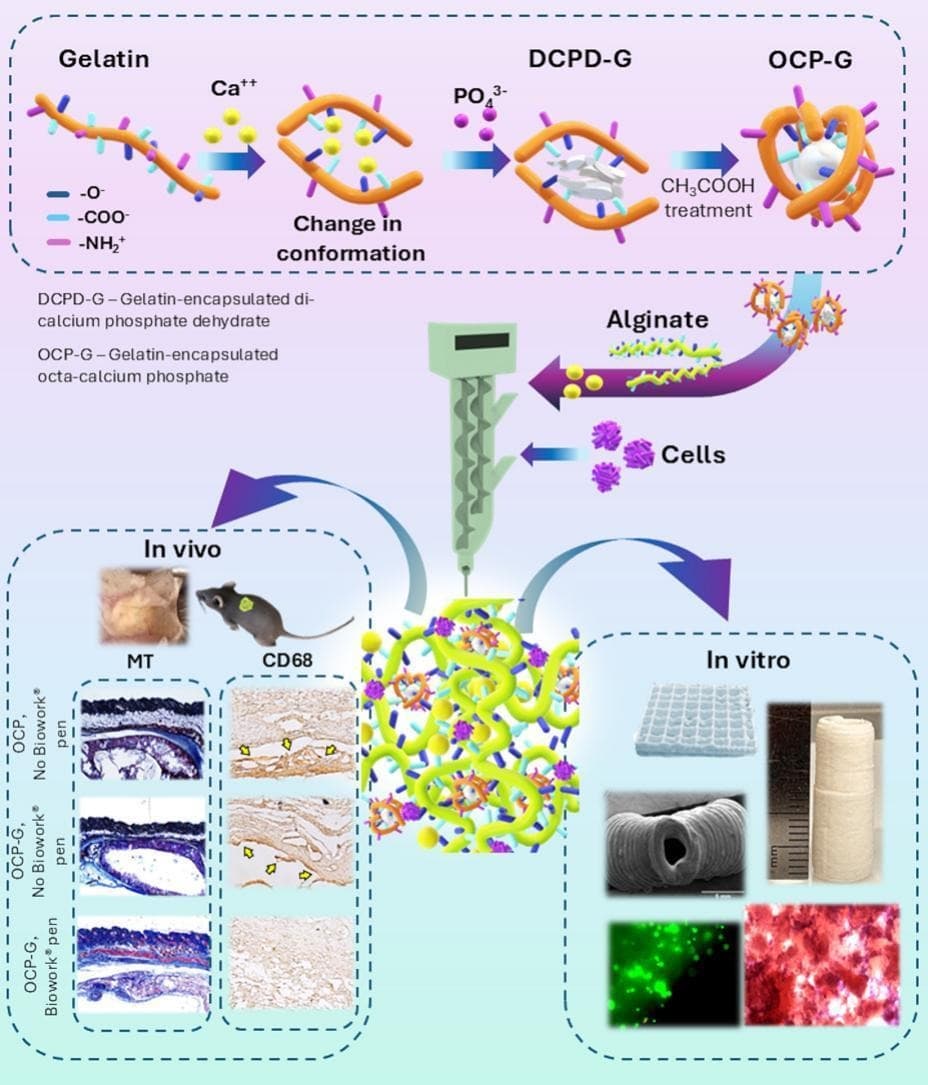 Graphical abstract from Chemical Engineering Journal