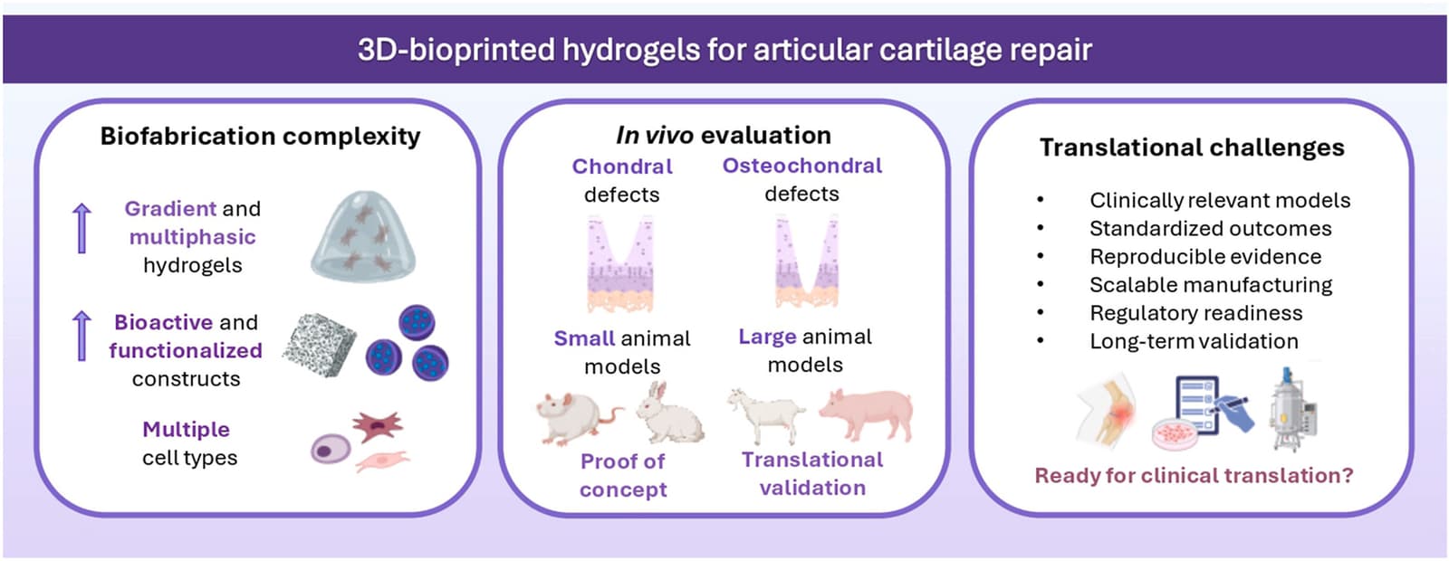 Graphical abstract from Journal of Orthopaedic Translation