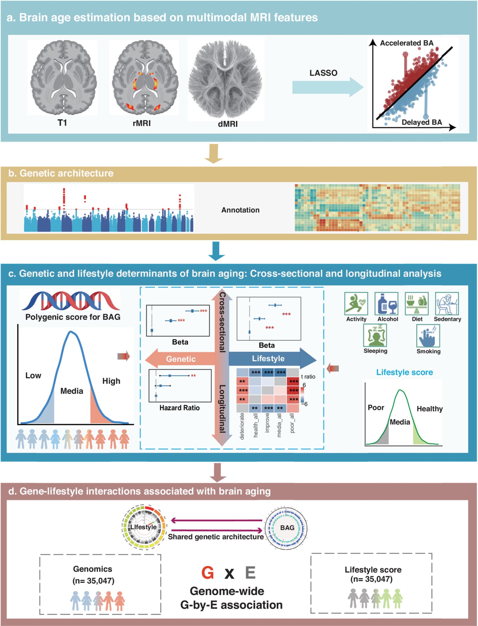 Figure 1 from Translational Psychiatry