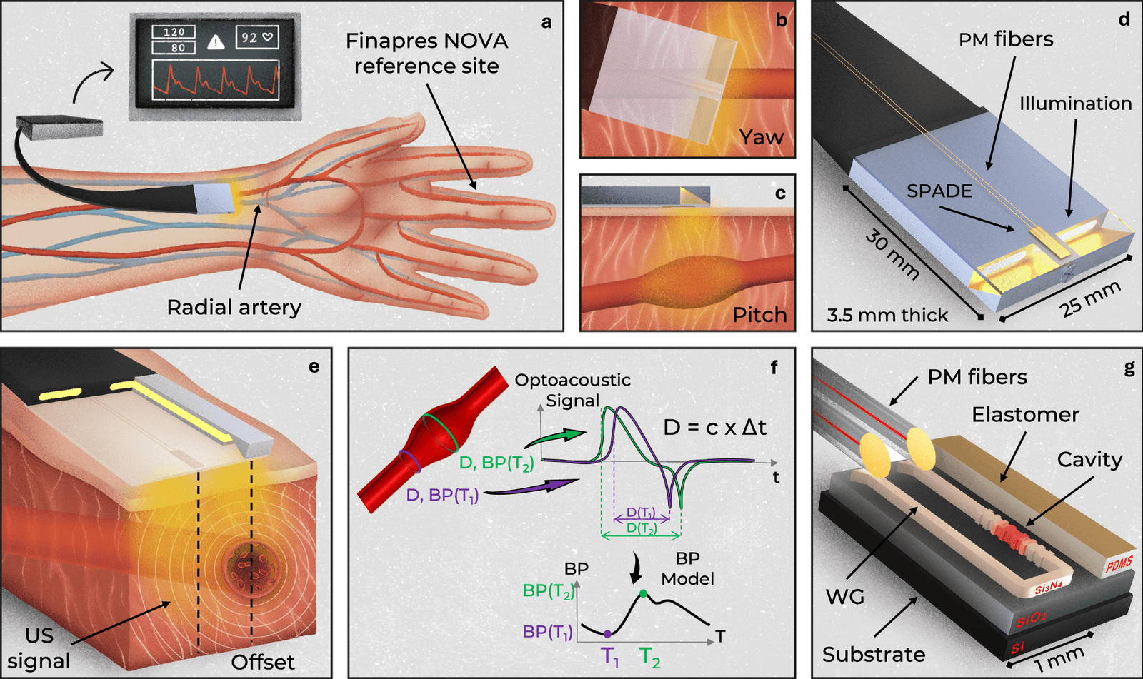 Figure 1 from Nature Communications