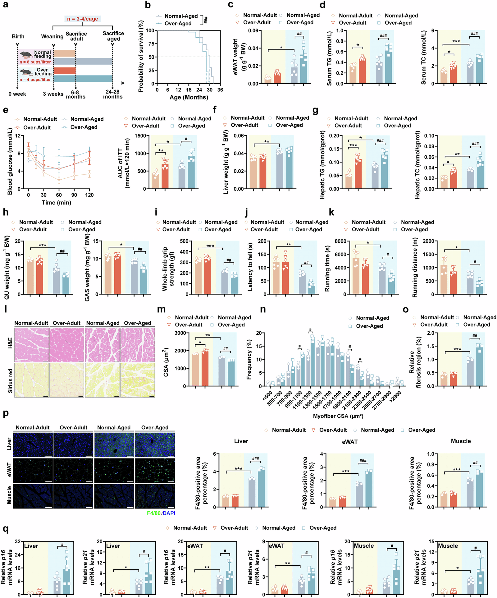 Figure 1 from Nature Communications