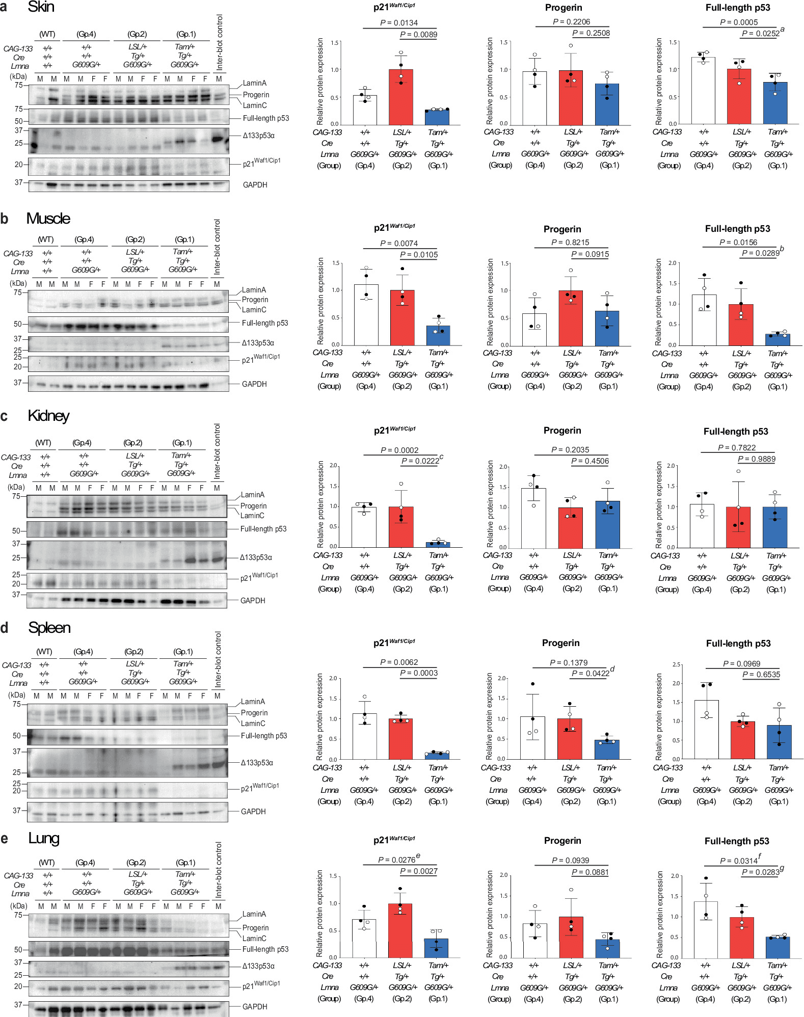 Figure 1 from NPJ Aging