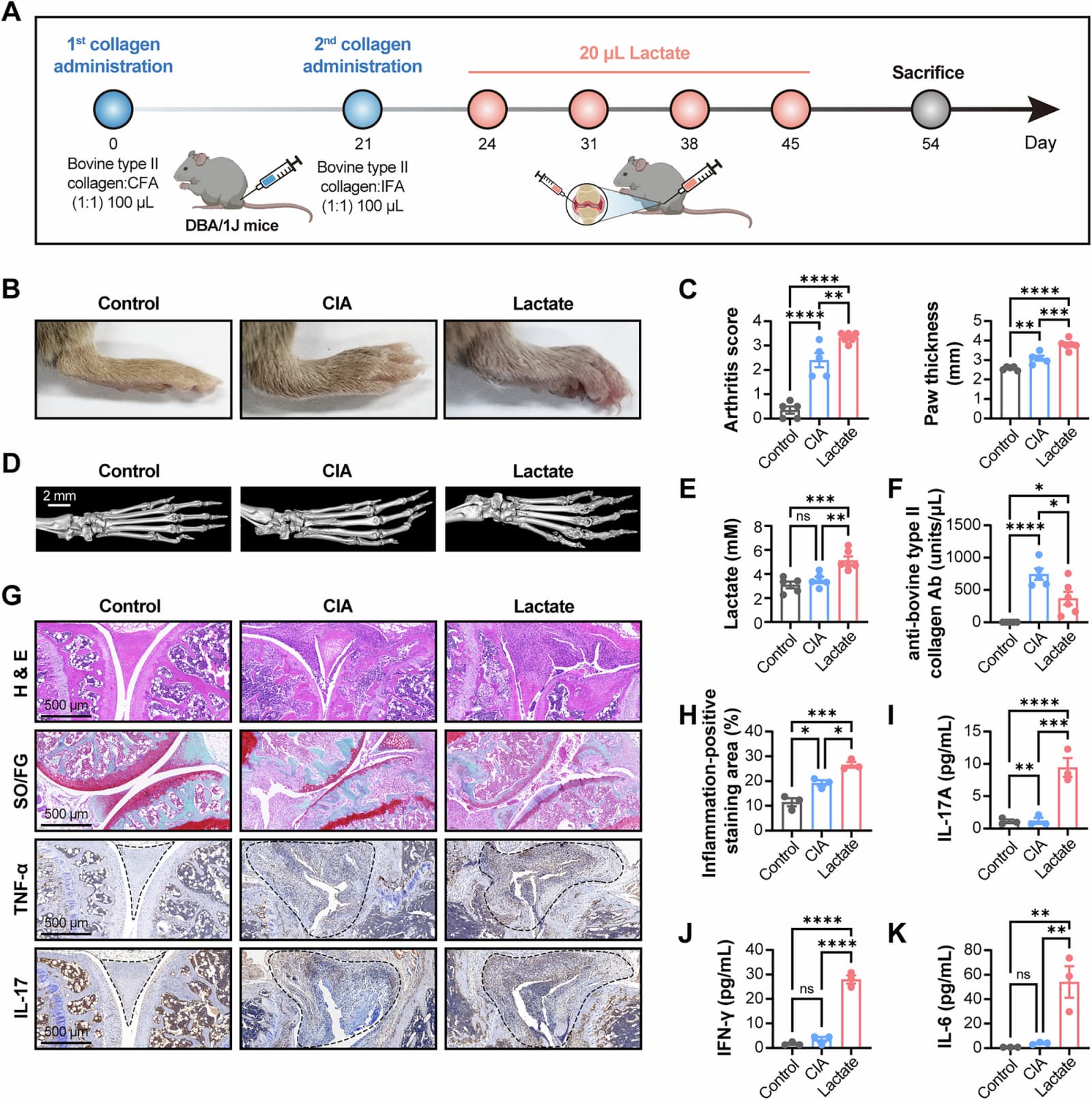 Figure 1 from NPJ Aging