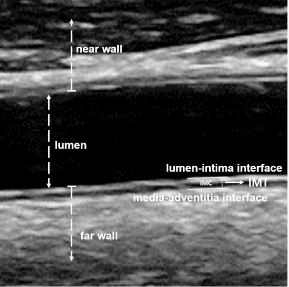Figure 1 from Scientific Reports