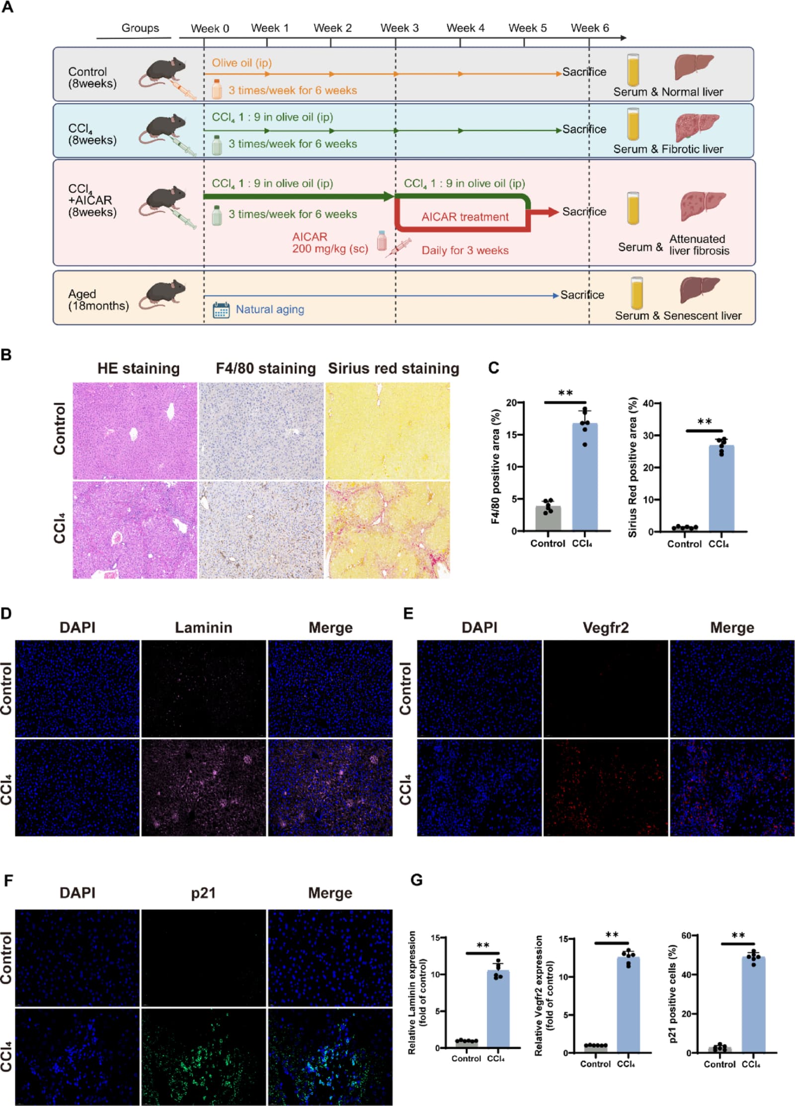 Figure 1 from Scientific Reports