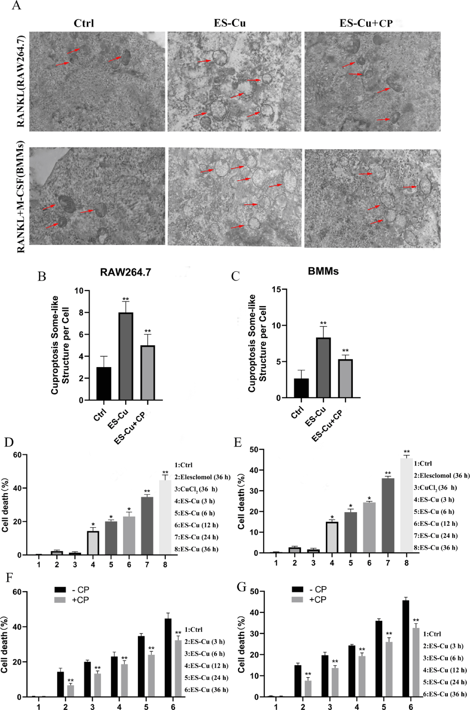 Figure 1 from Scientific Reports
