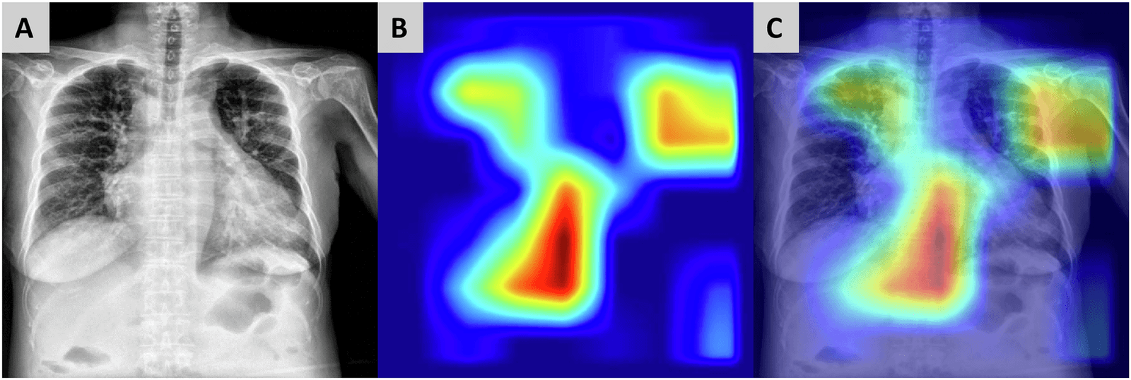 Figure 1 from NPJ Digital Medicine