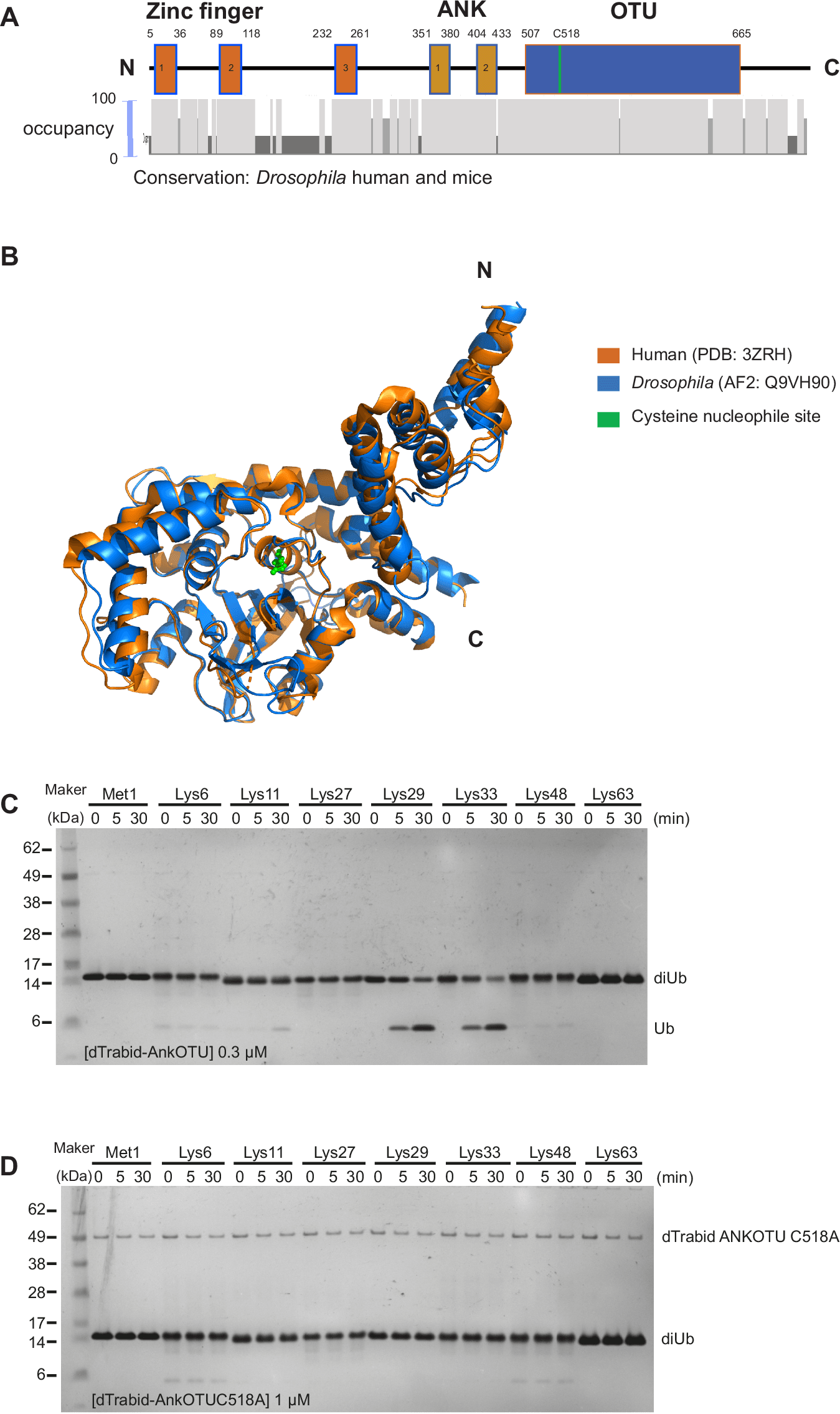 Figure 1 from Communications Biology