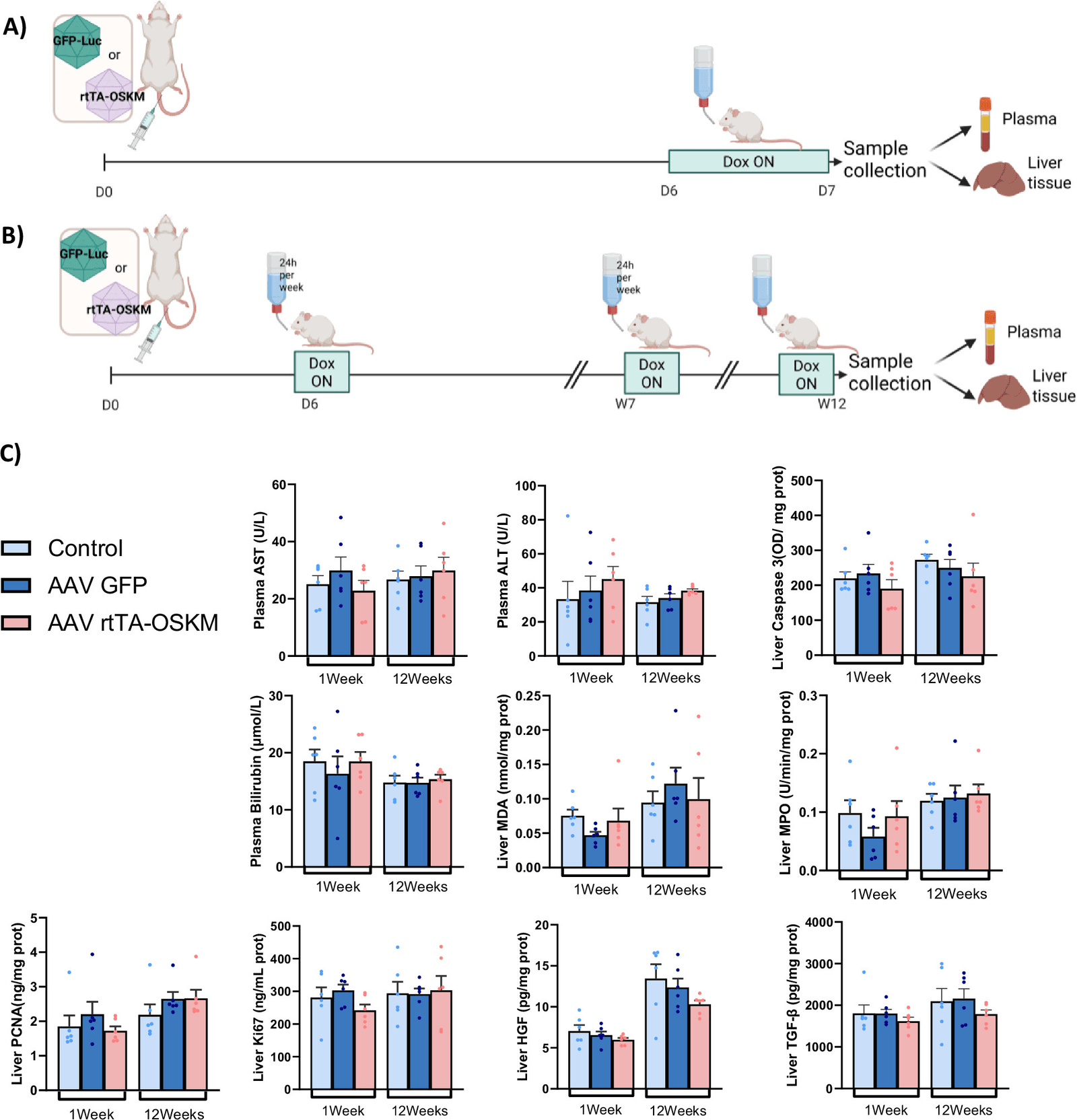 Figure 1 from Communications Biology