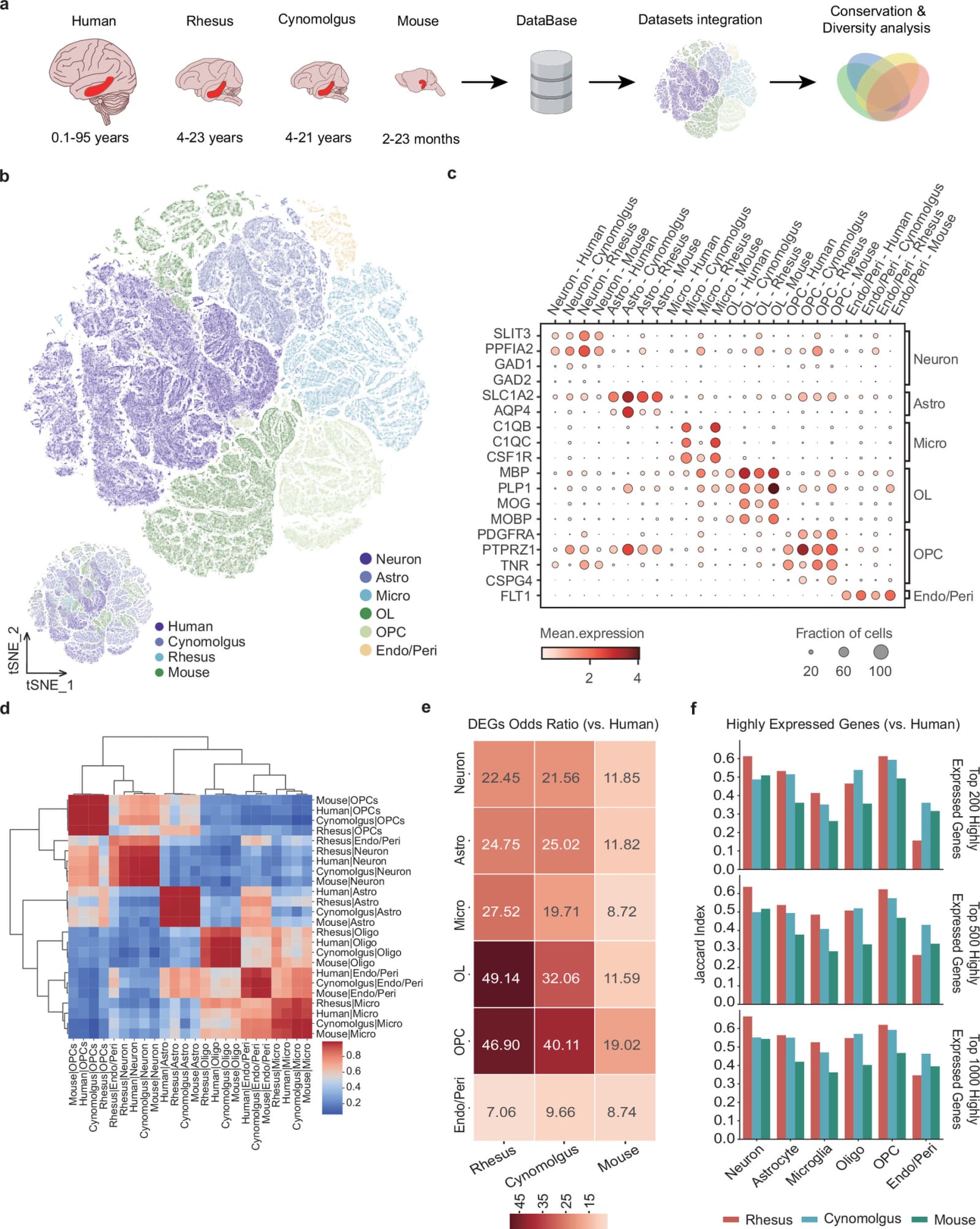 Figure 1 from Communications Biology