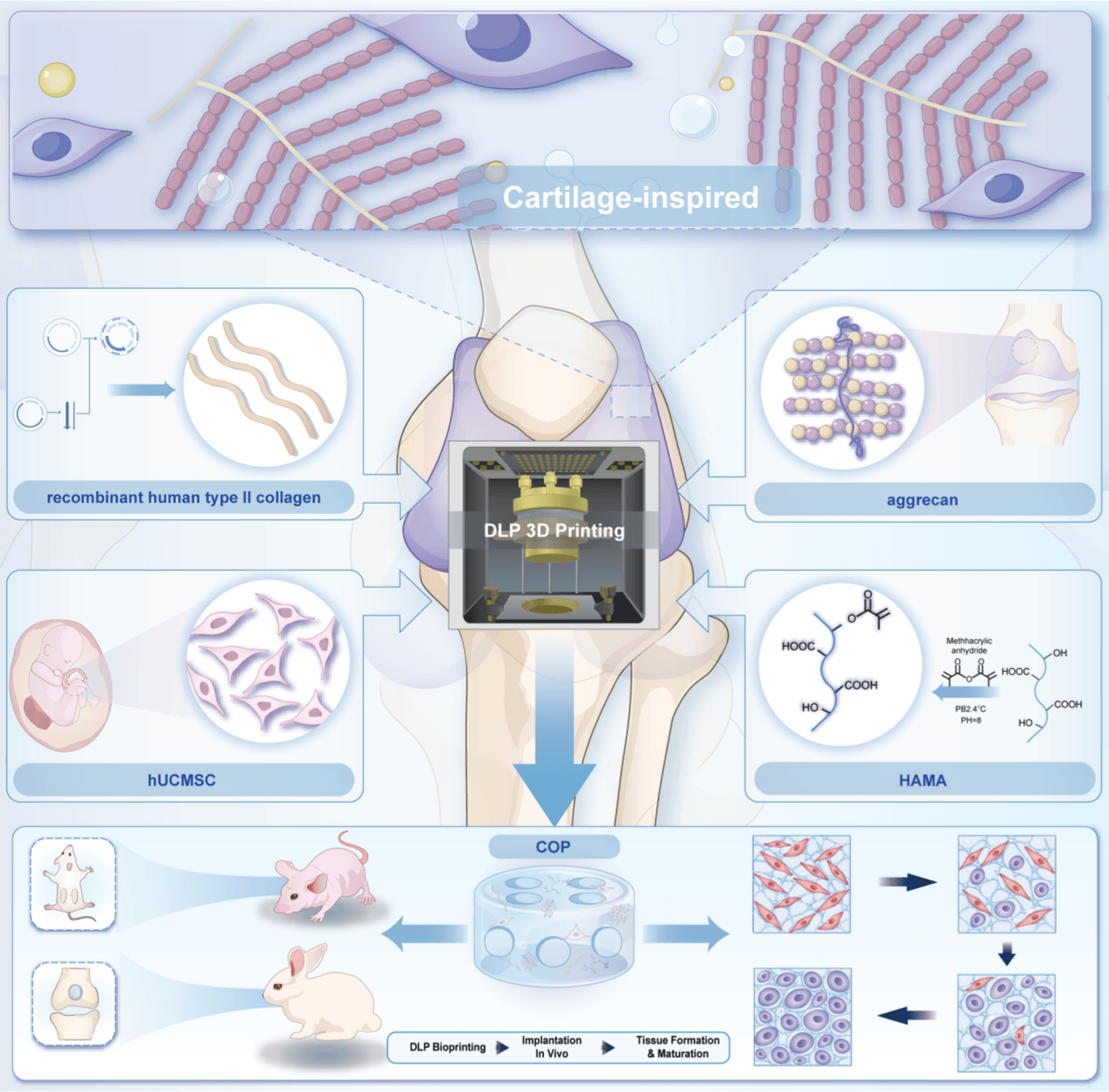Figure 1 from Journal of Nanobiotechnology