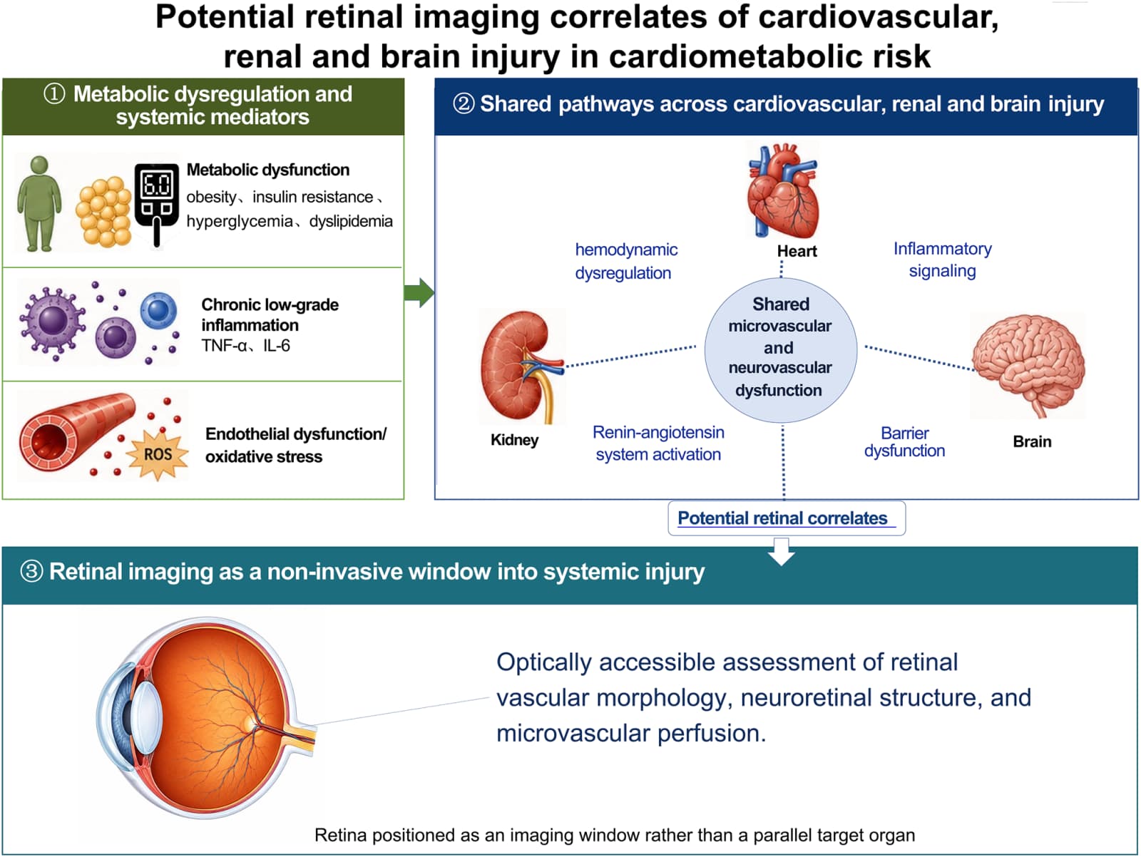 Figure 1 from Journal of Translational Medicine