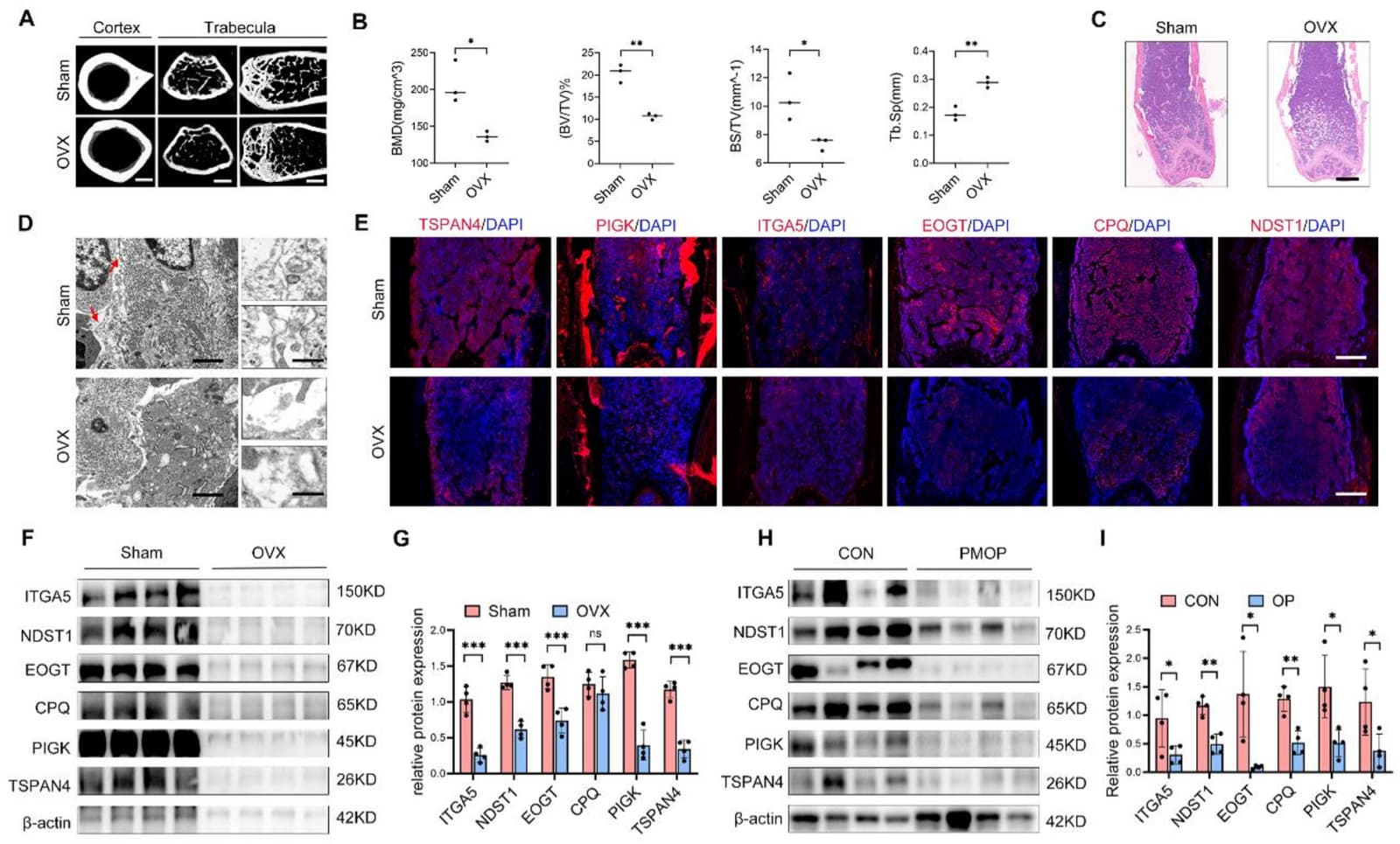 Figure 1 from Journal of Translational Medicine