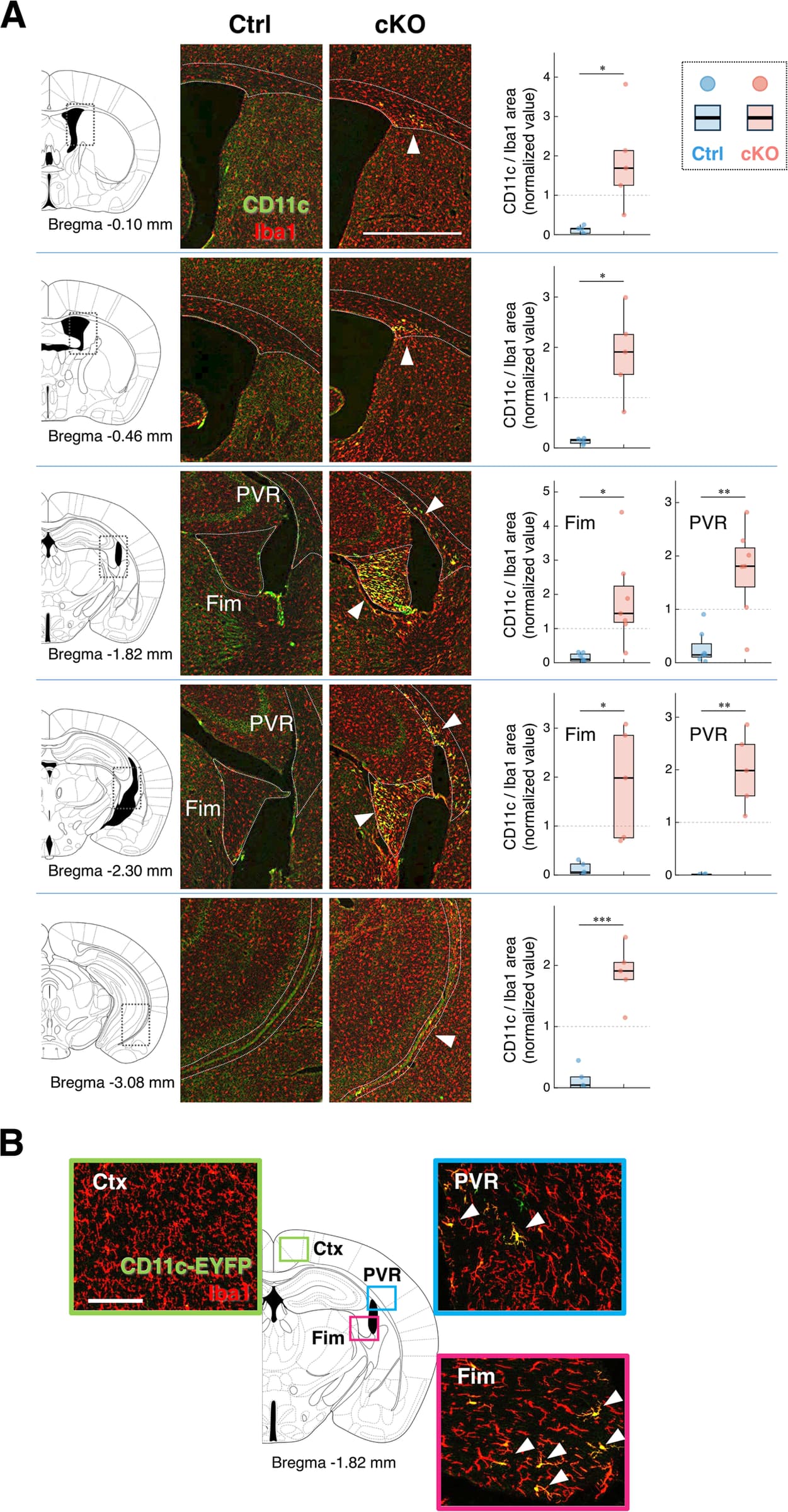 Figure 1 from Journal of Neuroinflammation