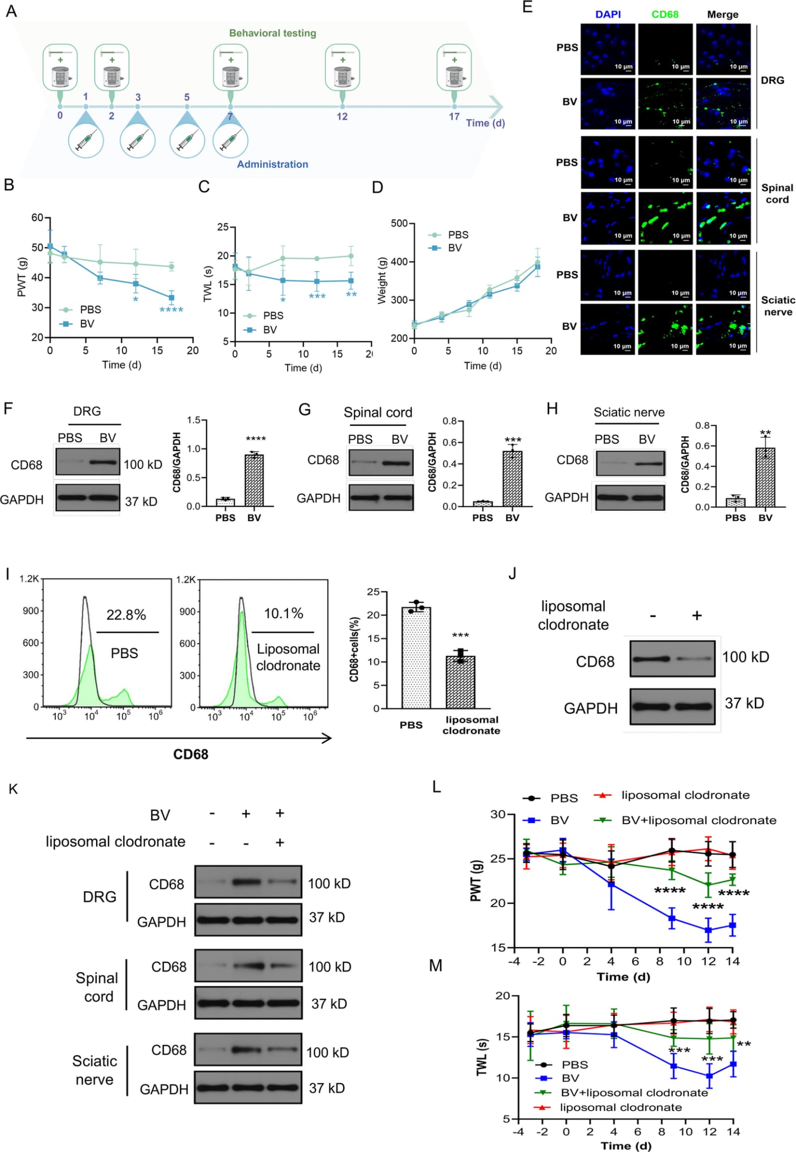 Figure 1 from Journal of Neuroinflammation