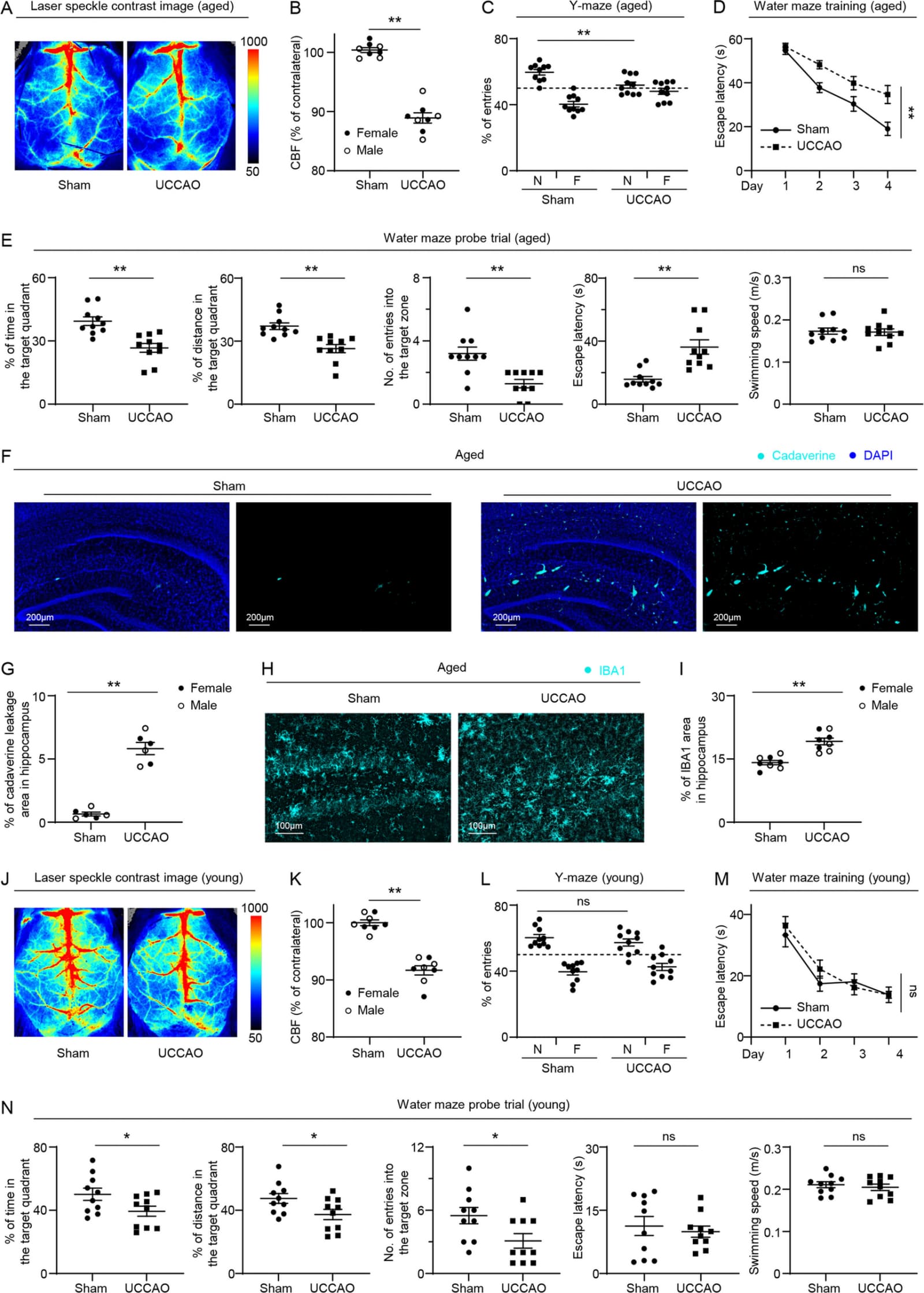 Figure 1 from Journal of Neuroinflammation