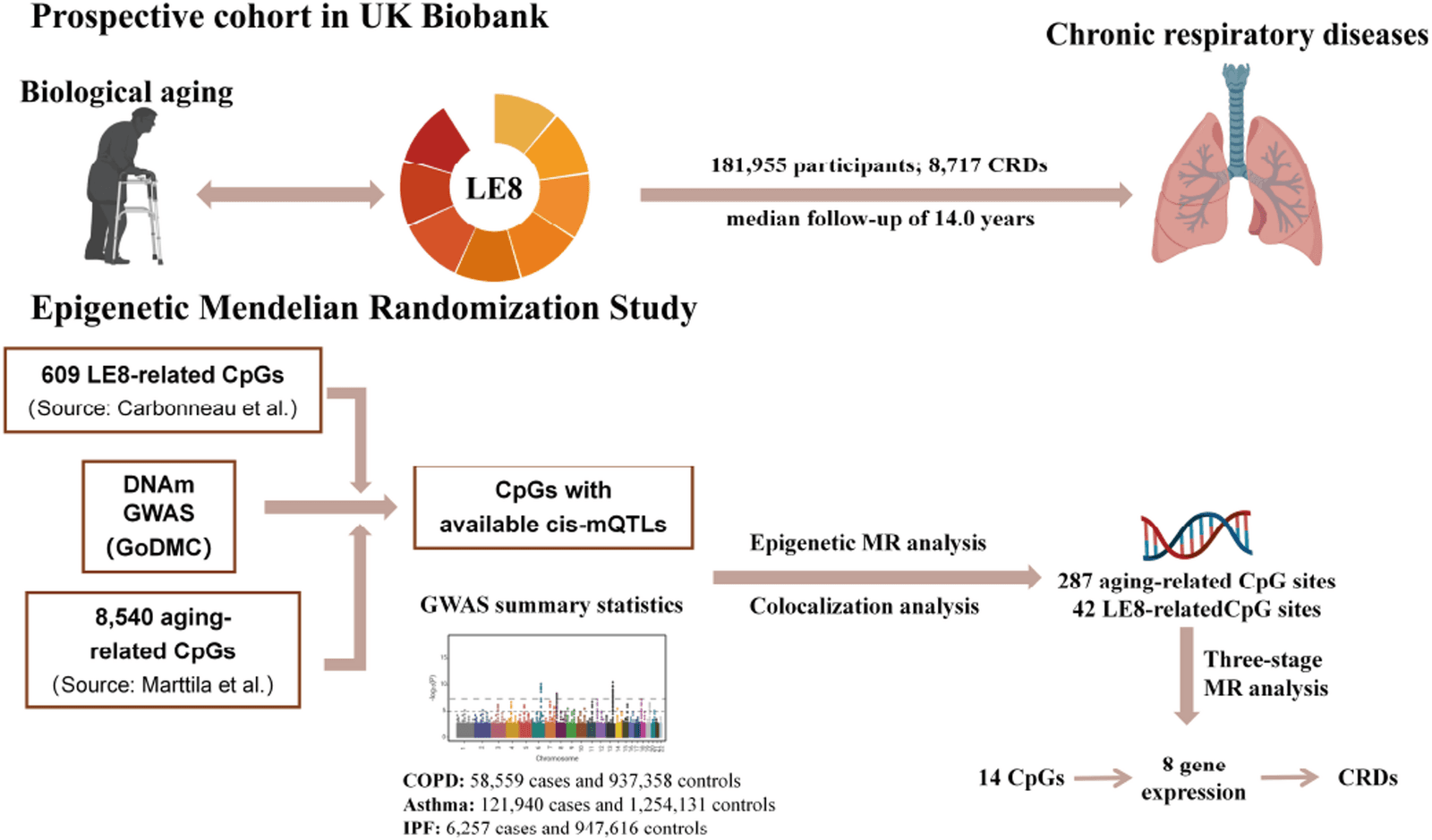 Figure 1 from Clinical Epigenetics