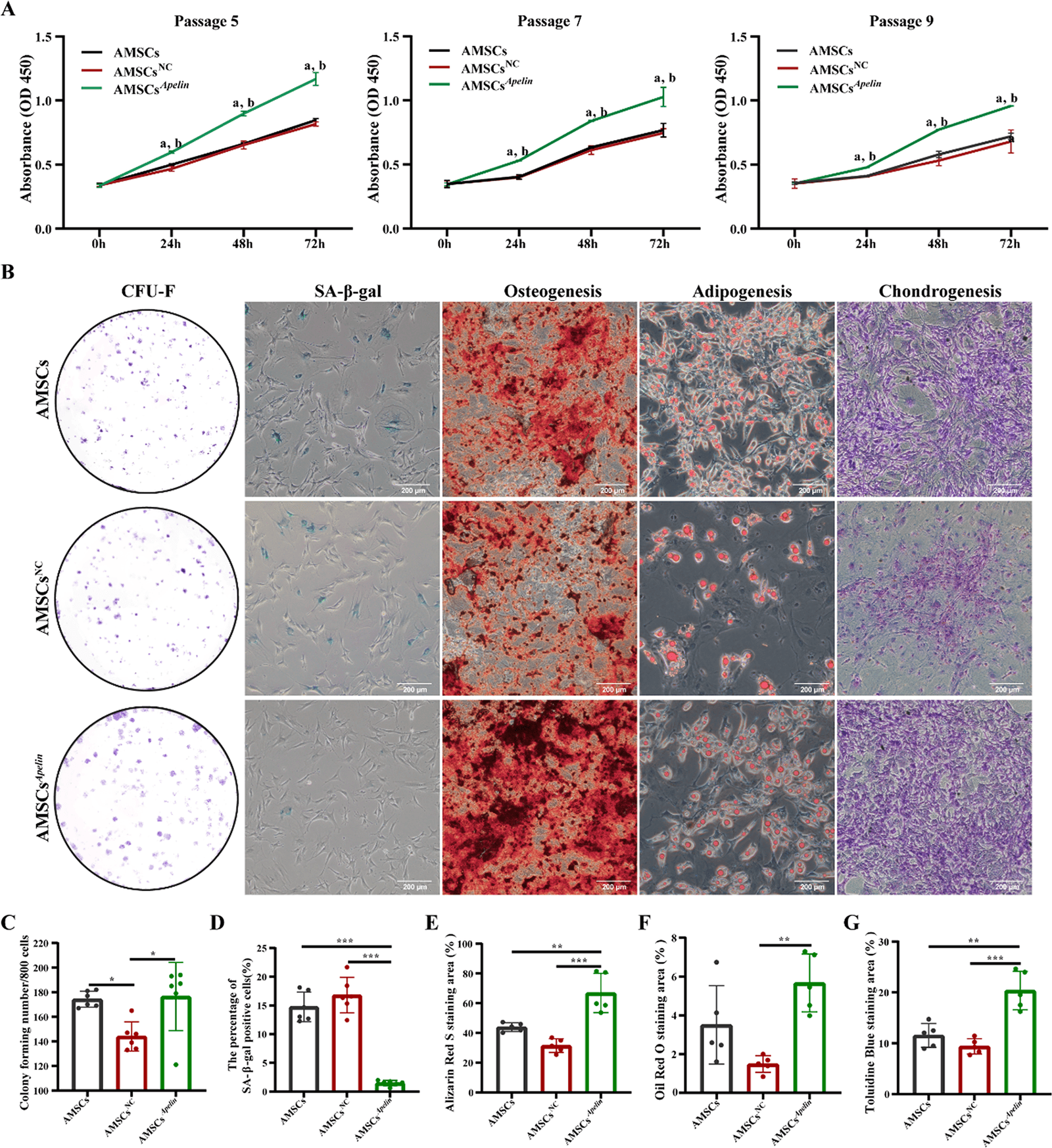 Figure 1 from Stem Cell Research & Therapy