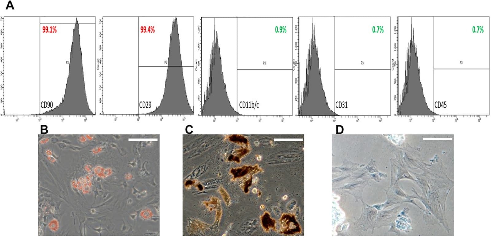 Figure 1 from Stem Cell Research & Therapy