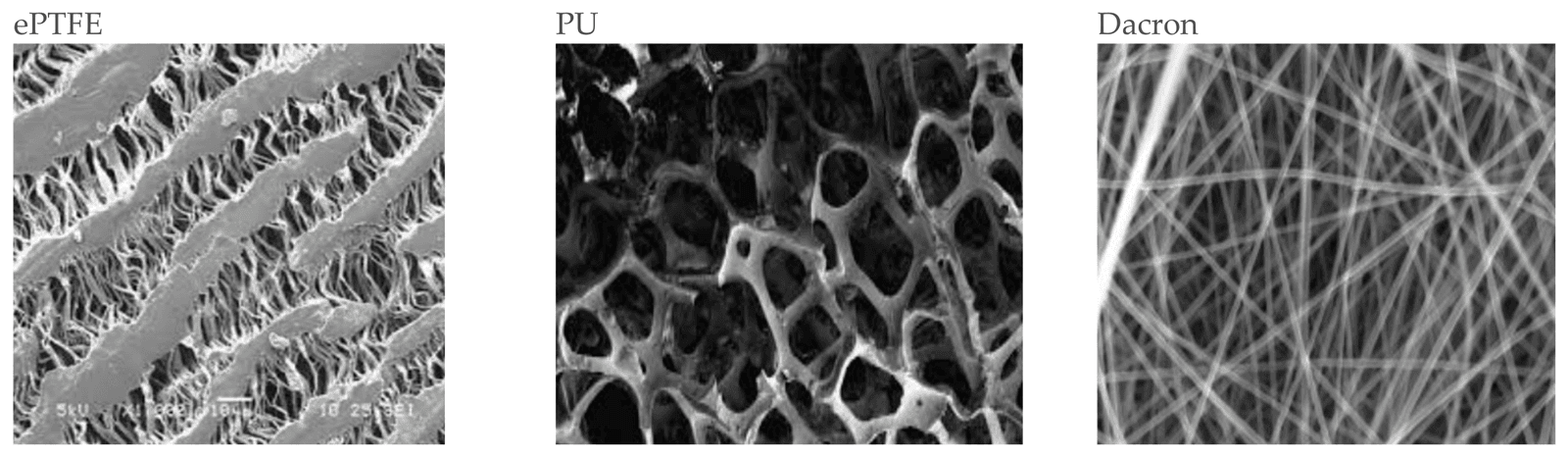 Figure 1 from Bioengineering