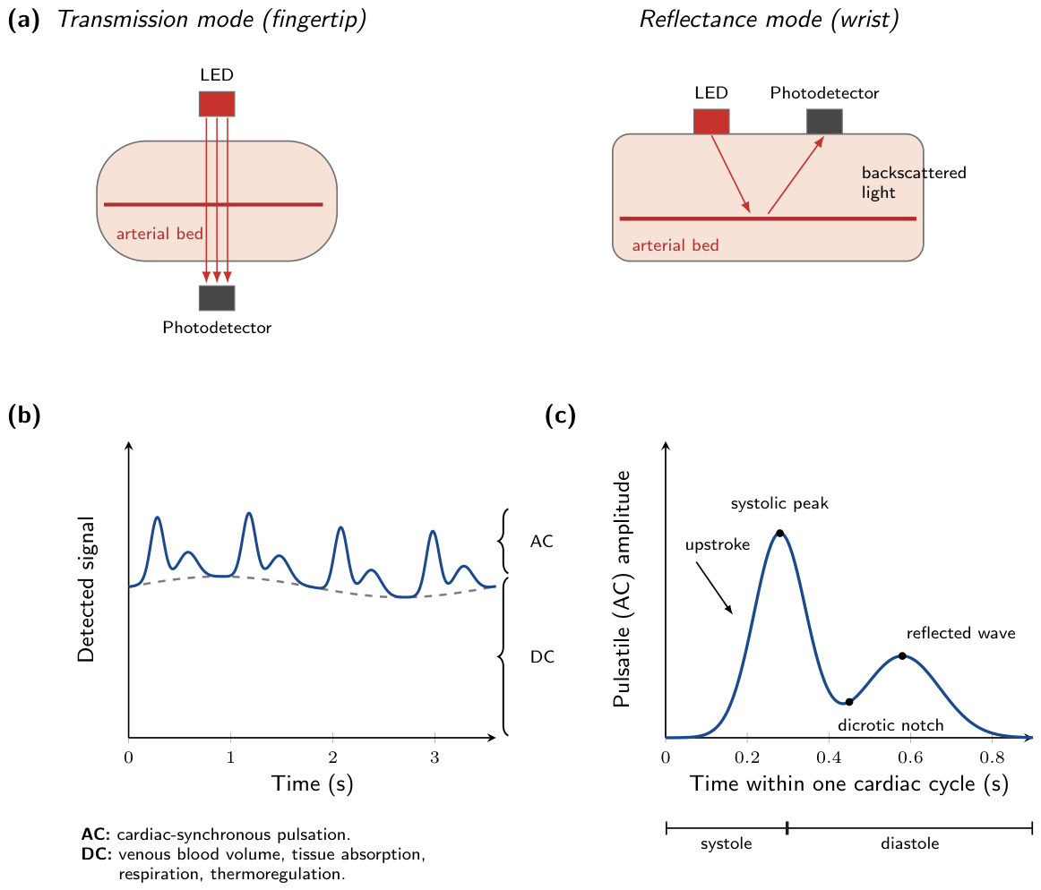 Figure 1 from Computers
