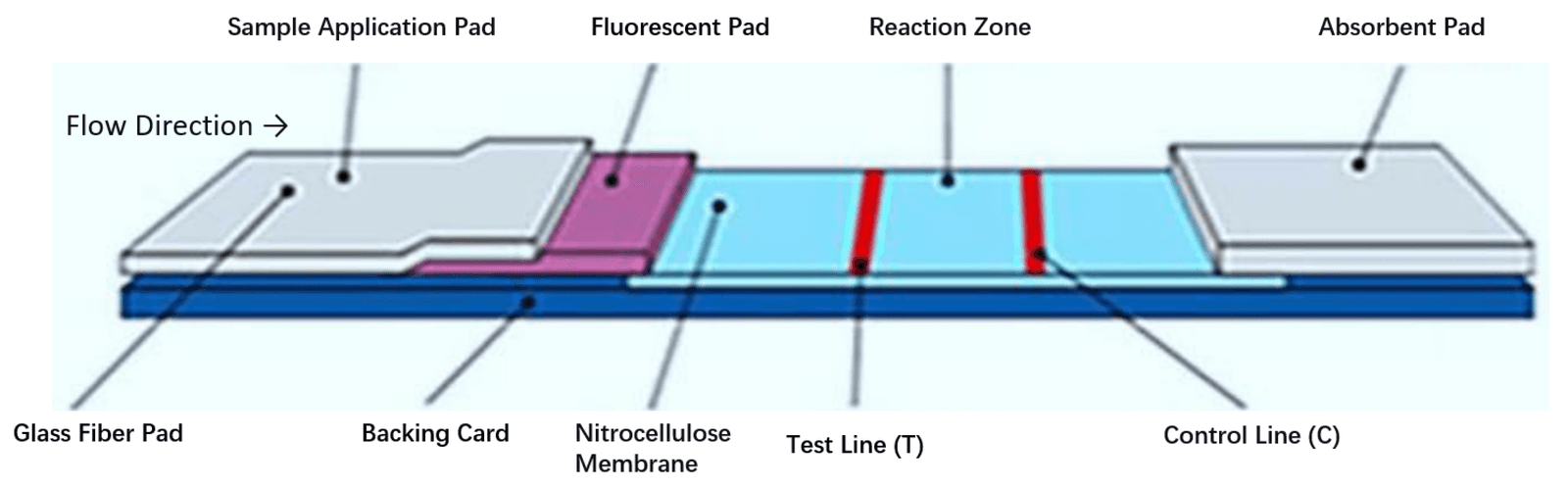 Figure 1 from Diagnostics