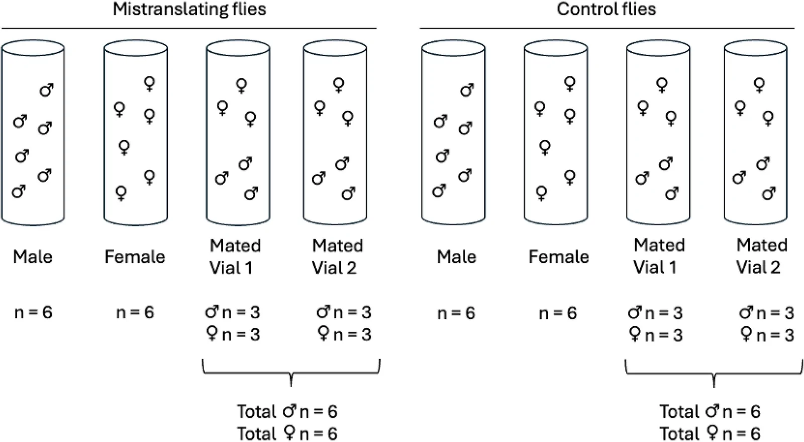 Fig. 1. Longevity assay setup on a given day.