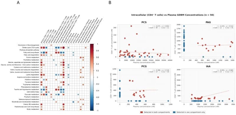 Intracellular GDBMs associate with metabolic pathway remodeling in CD4⁺ T cells from ART-suppressed PLWH.
