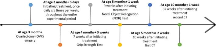 Figure 1. Experimental design and timeline.