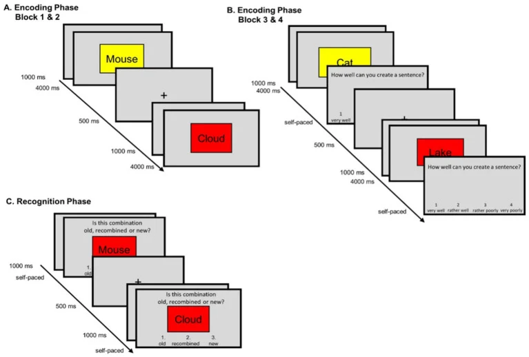 Figure 1. Trial structure from the encoding phase for blocks 1 and 2 (without a provided strategy; A) and for blocks 3 and 4 (with the instruction to visualize the object in the color and create a sentence; B).