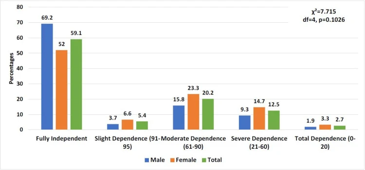 Figure 1. Level of dependency as per the Barthel Index (percentages)