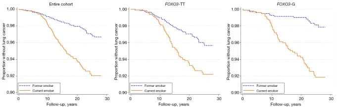 Figure 1. Crude Kaplan-Meier curves for lung cancer-free survival by smoking status, stratified by FOXO3 genotype.