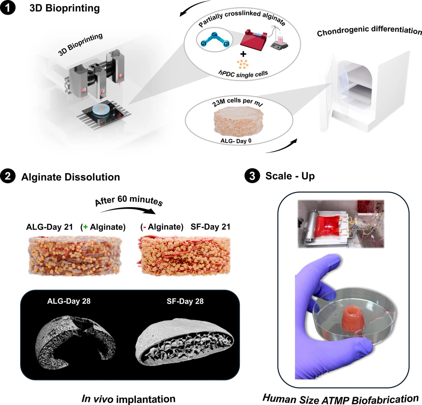 Graphical abstract from Trends in Biotechnology