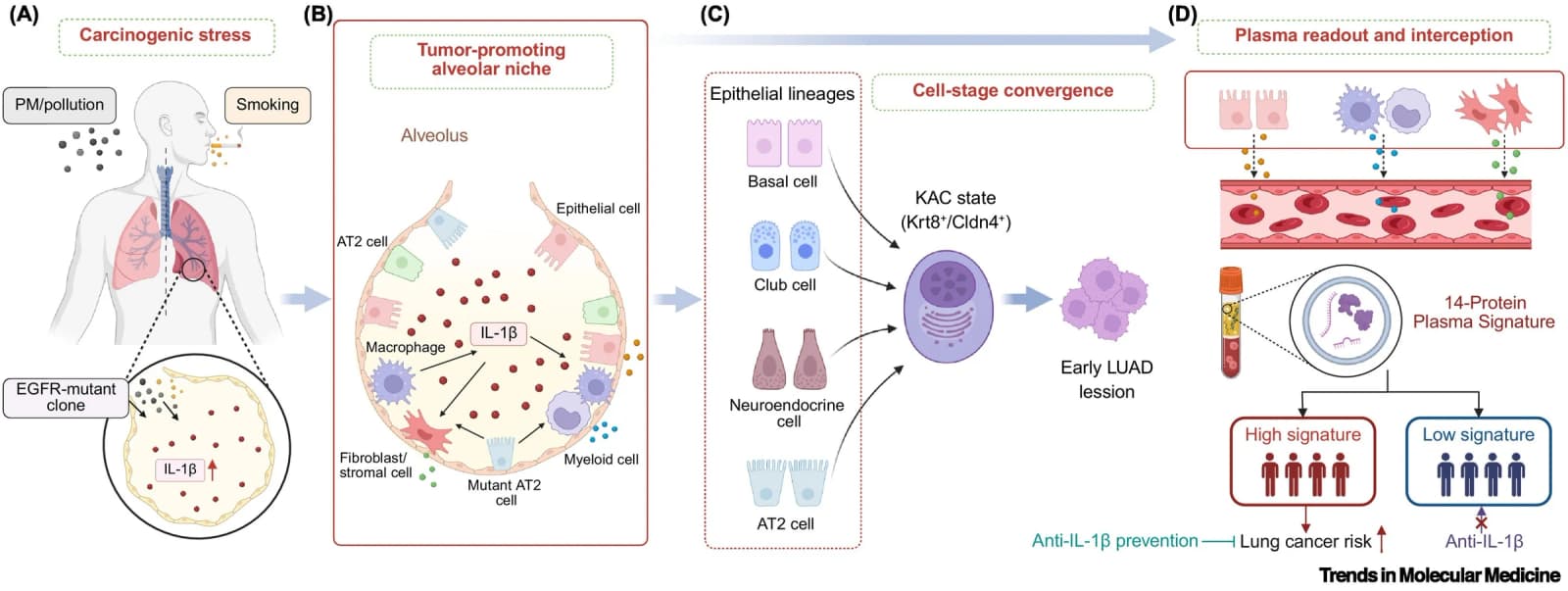 Figure 1 from Trends in Molecular Medicine