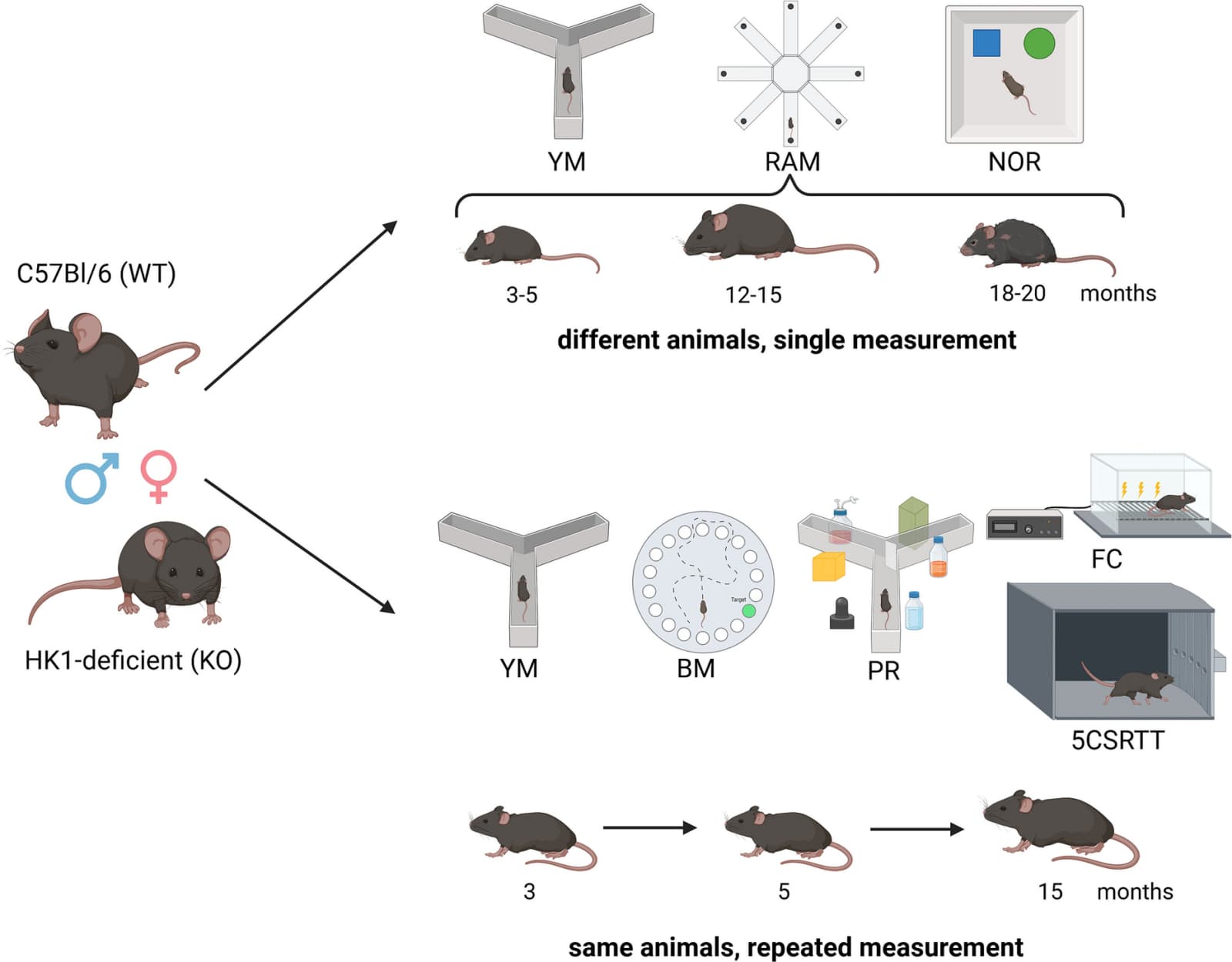 Figure 1 from GeroScience