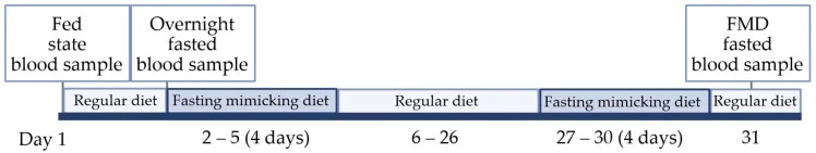 Figure 1. FIND study design. Study design, 2 cycles of a 4-day FMD with a period of about 20 days of regular diet without any restrictions.