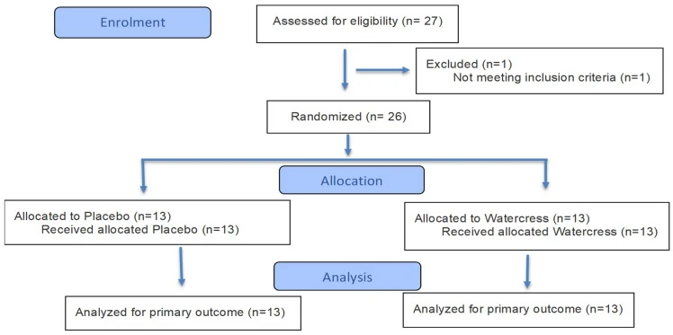 Figure 1. Participant flow diagram for the randomized, single-blind, placebo-controlled study.