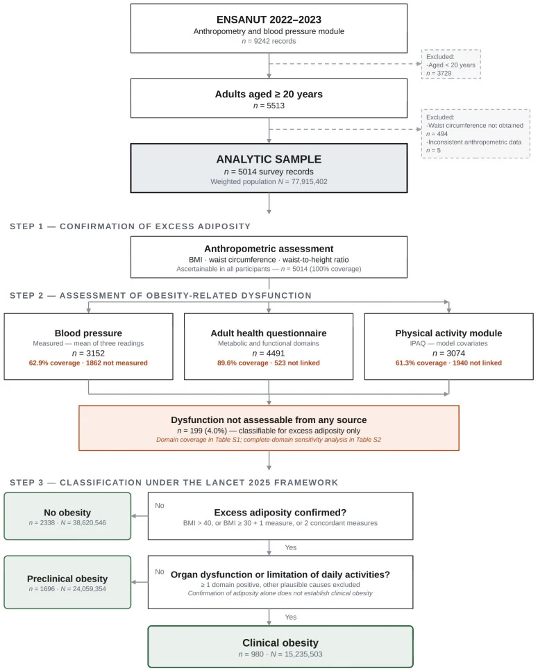 Figure 1. Flow diagram of participant selection from the Mexican National Health and Nutrition Survey (ENSANUT) 2023.