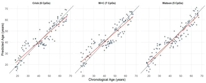 Figure 1. Predicted vs. chronological age for all three matrices (Watson, Crick, Watson + Crick).