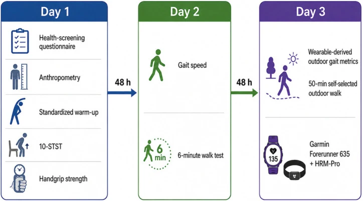 Figure 1. Timeline of the assessment protocol across the three testing sessions.