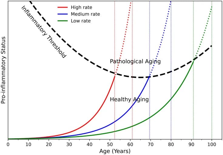 Figure 1. The inflammaging threshold model proposed by Franceschi et al. (4).