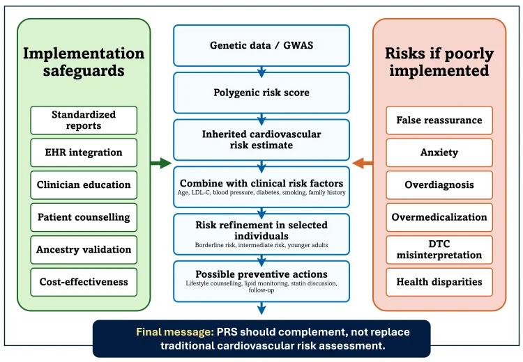 Figure 1. Conceptual framework for responsible cardiovascular PRS implementation.