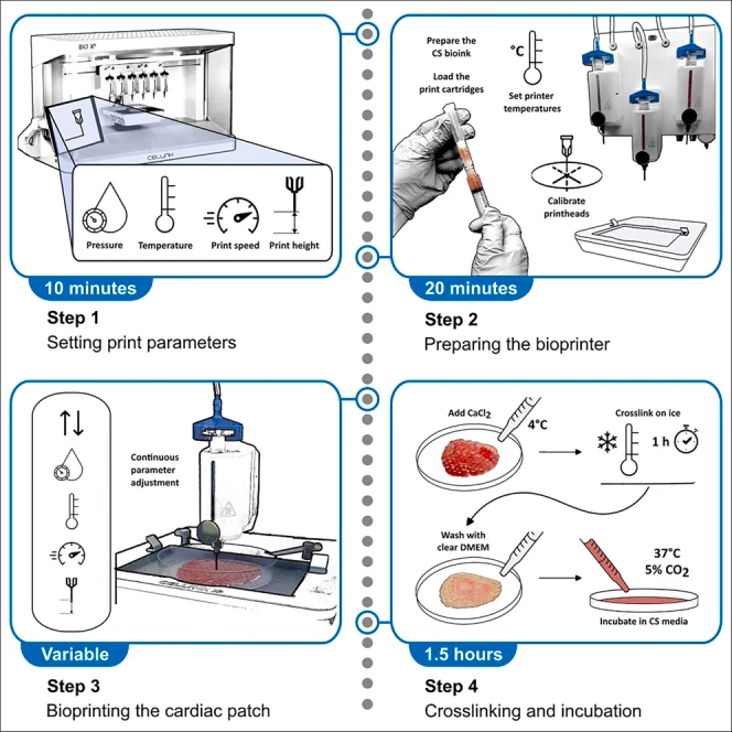 Graphical abstract from STAR Protocols